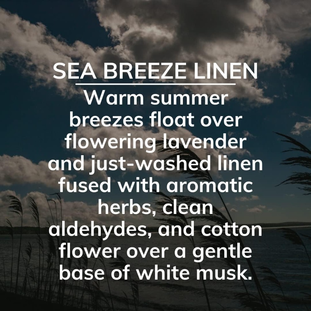 Long-Lasting Solid Odor Elimin - Home Fragrance Linen ulasan dan harga